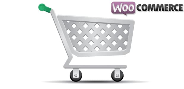 customize woocommerce theme & plugin development