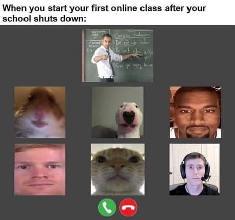 online live classes meme